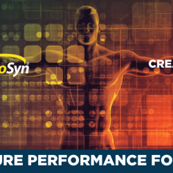 Exploring Creatine Supplementation and the Complementary Role of CarnoSyn® Beta-Alanine in Supporting the Function of the Creatine Kinase-Phosphocreatine System